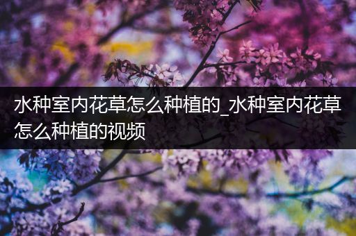 水种室内花草怎么种植的_水种室内花草怎么种植的视频