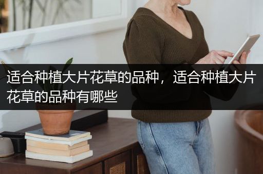 适合种植大片花草的品种，适合种植大片花草的品种有哪些