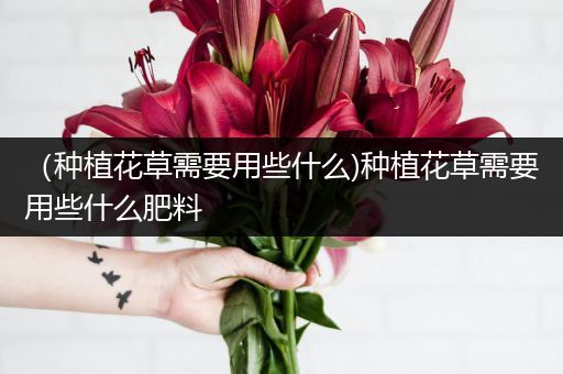 （种植花草需要用些什么)种植花草需要用些什么肥料