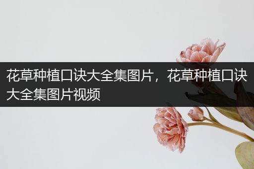 花草种植口诀大全集图片，花草种植口诀大全集图片视频
