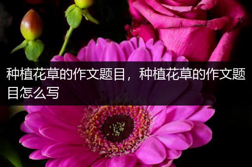 种植花草的作文题目，种植花草的作文题目怎么写