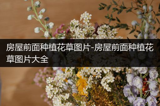 房屋前面种植花草图片-房屋前面种植花草图片大全