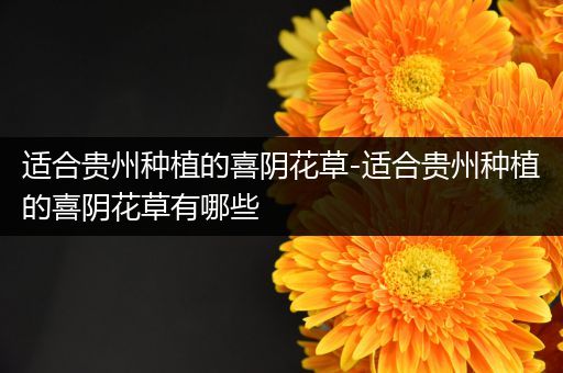 适合贵州种植的喜阴花草-适合贵州种植的喜阴花草有哪些