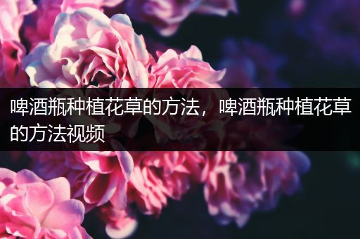 啤酒瓶种植花草的方法，啤酒瓶种植花草的方法视频
