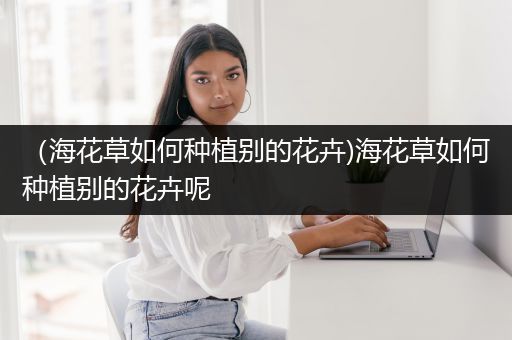 （海花草如何种植别的花卉)海花草如何种植别的花卉呢