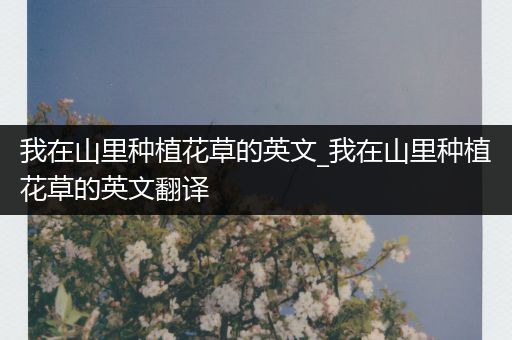 我在山里种植花草的英文_我在山里种植花草的英文翻译