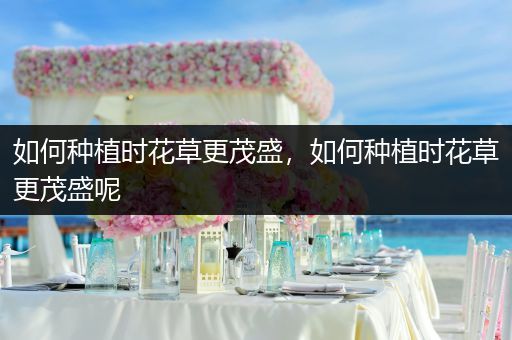 如何种植时花草更茂盛，如何种植时花草更茂盛呢