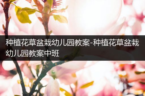 种植花草盆栽幼儿园教案-种植花草盆栽幼儿园教案中班