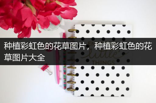 种植彩虹色的花草图片，种植彩虹色的花草图片大全