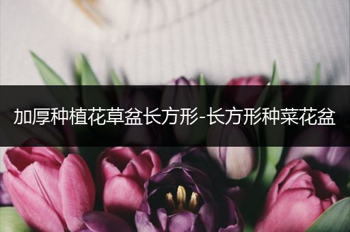 加厚种植花草盆长方形-长方形种菜花盆
