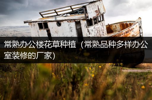 常熟办公楼花草种植（常熟品种多样办公室装修的厂家）
