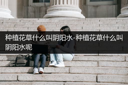 种植花草什么叫阴阳水-种植花草什么叫阴阳水呢