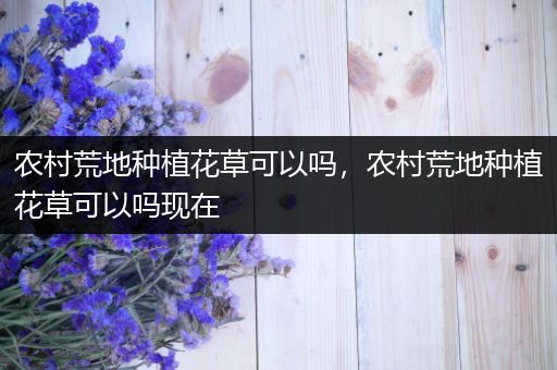 农村荒地种植花草可以吗，农村荒地种植花草可以吗现在
