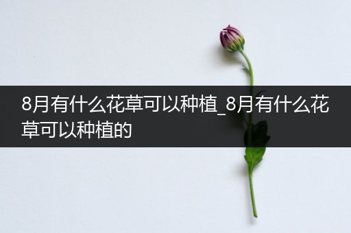 8月有什么花草可以种植_8月有什么花草可以种植的