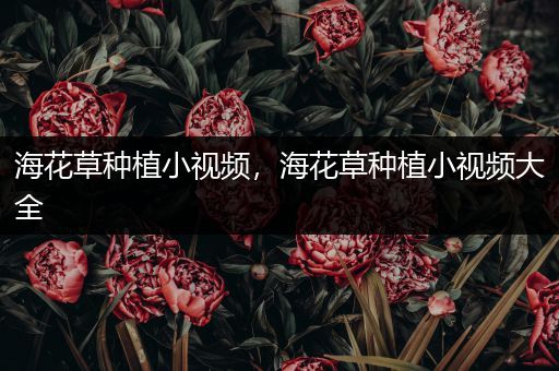 海花草种植小视频，海花草种植小视频大全