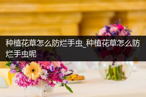 种植花草怎么防烂手虫_种植花草怎么防烂手虫呢