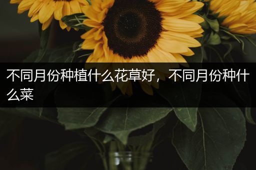 不同月份种植什么花草好，不同月份种什么菜