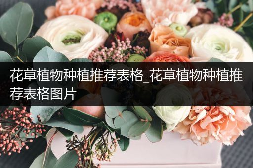花草植物种植推荐表格_花草植物种植推荐表格图片