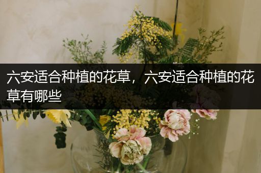 六安适合种植的花草，六安适合种植的花草有哪些