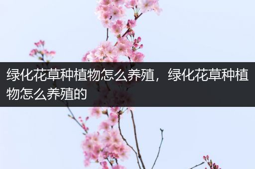 绿化花草种植物怎么养殖，绿化花草种植物怎么养殖的