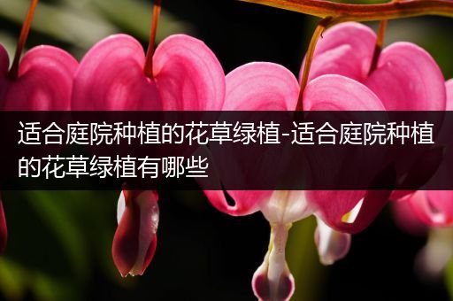 适合庭院种植的花草绿植-适合庭院种植的花草绿植有哪些