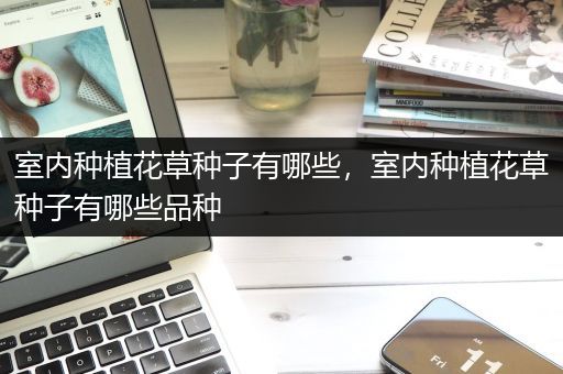 室内种植花草种子有哪些，室内种植花草种子有哪些品种