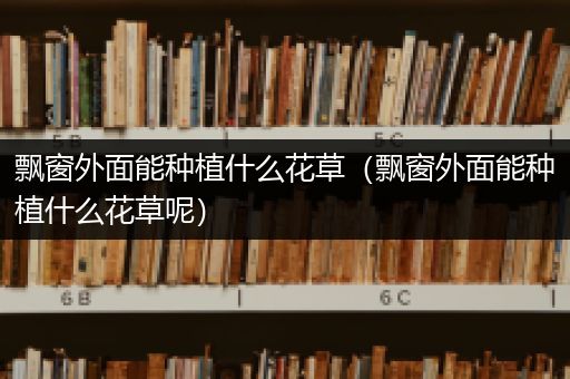 飘窗外面能种植什么花草（飘窗外面能种植什么花草呢）