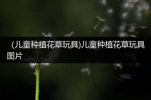 （儿童种植花草玩具)儿童种植花草玩具图片