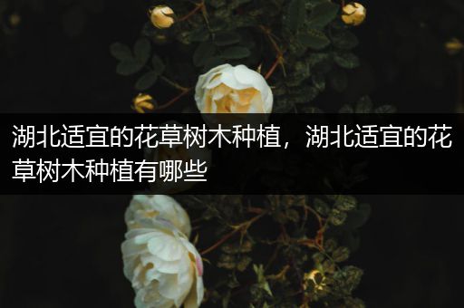 湖北适宜的花草树木种植，湖北适宜的花草树木种植有哪些