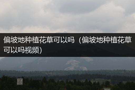 偏坡地种植花草可以吗（偏坡地种植花草可以吗视频）