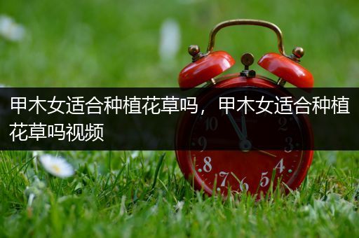 甲木女适合种植花草吗，甲木女适合种植花草吗视频