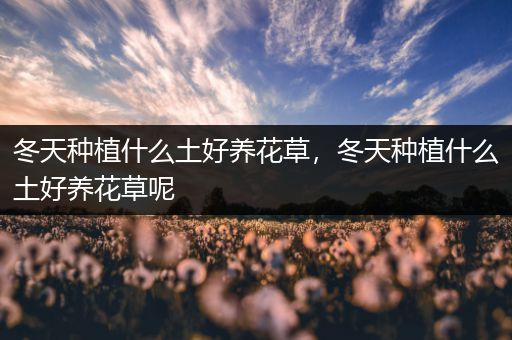 冬天种植什么土好养花草，冬天种植什么土好养花草呢