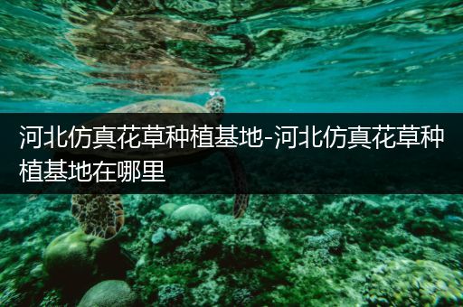 河北仿真花草种植基地-河北仿真花草种植基地在哪里