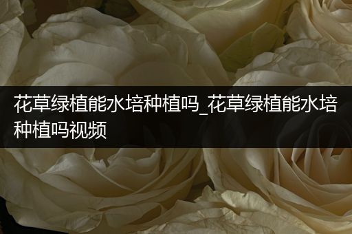 花草绿植能水培种植吗_花草绿植能水培种植吗视频