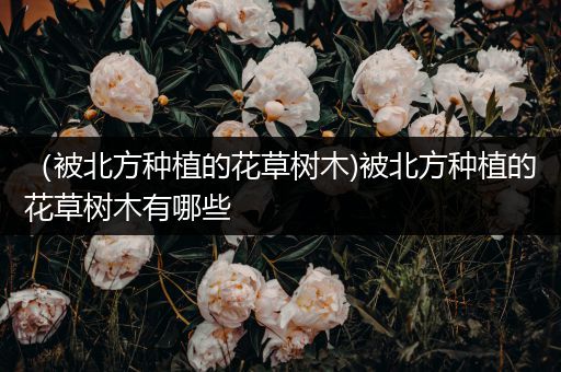 （被北方种植的花草树木)被北方种植的花草树木有哪些