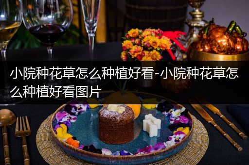 小院种花草怎么种植好看-小院种花草怎么种植好看图片