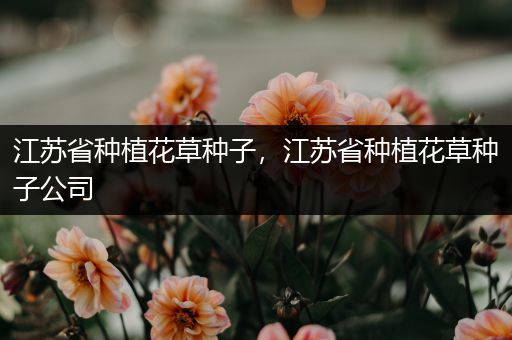 江苏省种植花草种子，江苏省种植花草种子公司