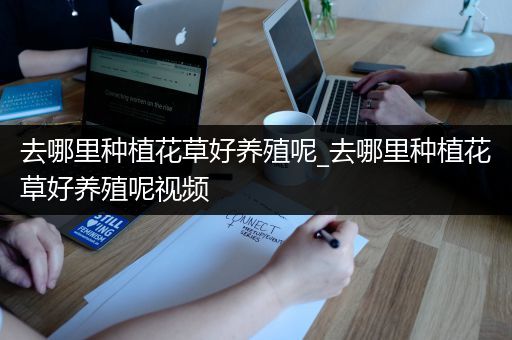 去哪里种植花草好养殖呢_去哪里种植花草好养殖呢视频