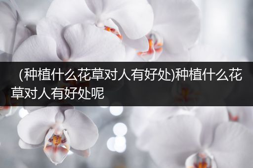 （种植什么花草对人有好处)种植什么花草对人有好处呢