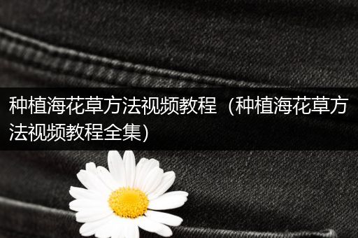 种植海花草方法视频教程（种植海花草方法视频教程全集）