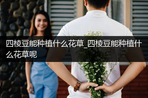 四棱豆能种植什么花草_四棱豆能种植什么花草呢