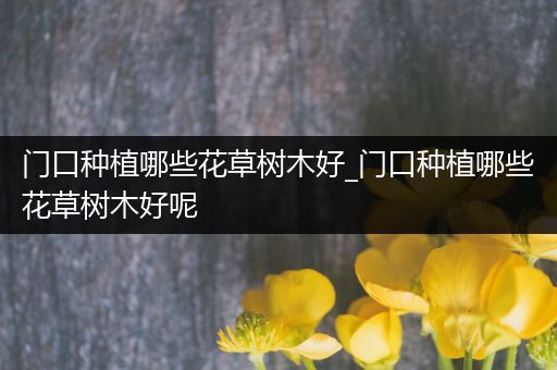 门口种植哪些花草树木好_门口种植哪些花草树木好呢