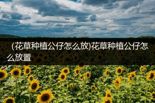 （花草种植公仔怎么放)花草种植公仔怎么放置