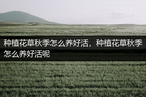 种植花草秋季怎么养好活，种植花草秋季怎么养好活呢