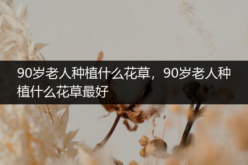 90岁老人种植什么花草，90岁老人种植什么花草最好