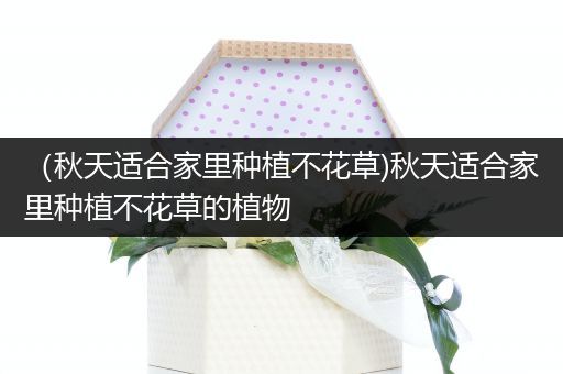 （秋天适合家里种植不花草)秋天适合家里种植不花草的植物