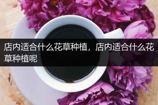 店内适合什么花草种植，店内适合什么花草种植呢