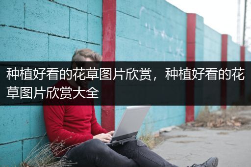 种植好看的花草图片欣赏，种植好看的花草图片欣赏大全
