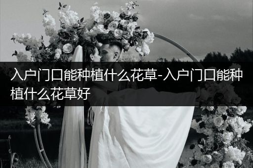 入户门口能种植什么花草-入户门口能种植什么花草好