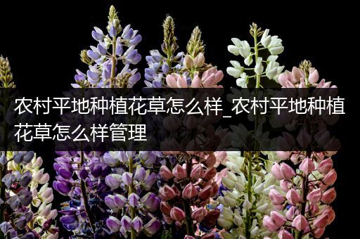 农村平地种植花草怎么样_农村平地种植花草怎么样管理